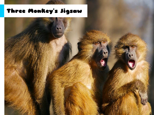 Three Monkey
